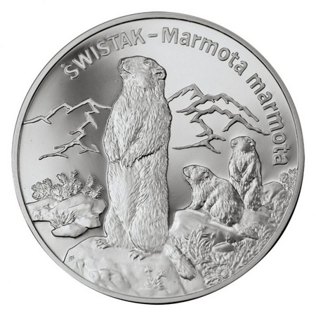 Zwierzęta świata - Świstak